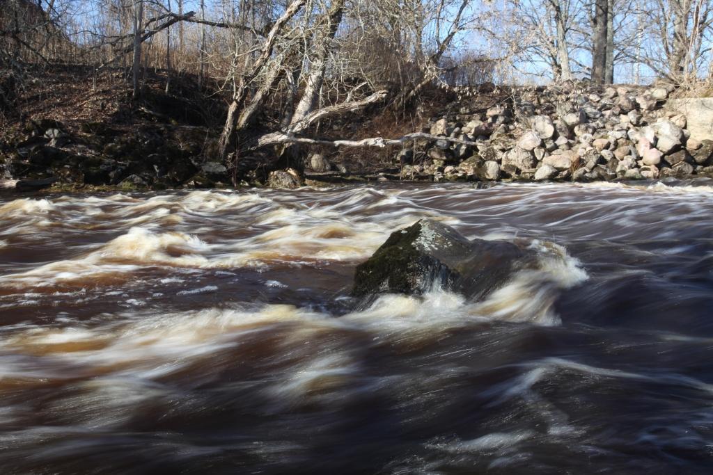 Autors: Gatis Bogdanovs