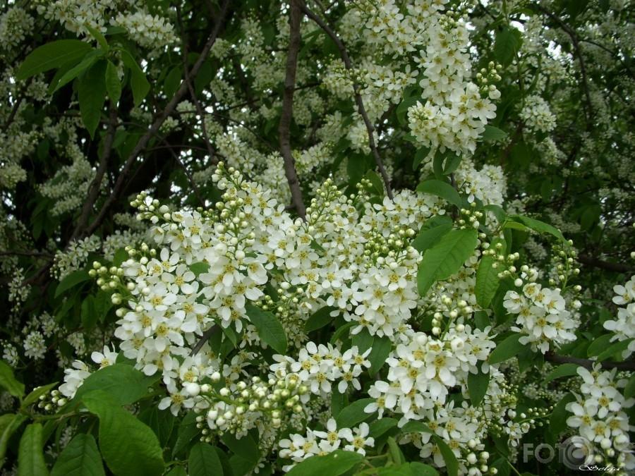 Autors: Ilustratīvs foto