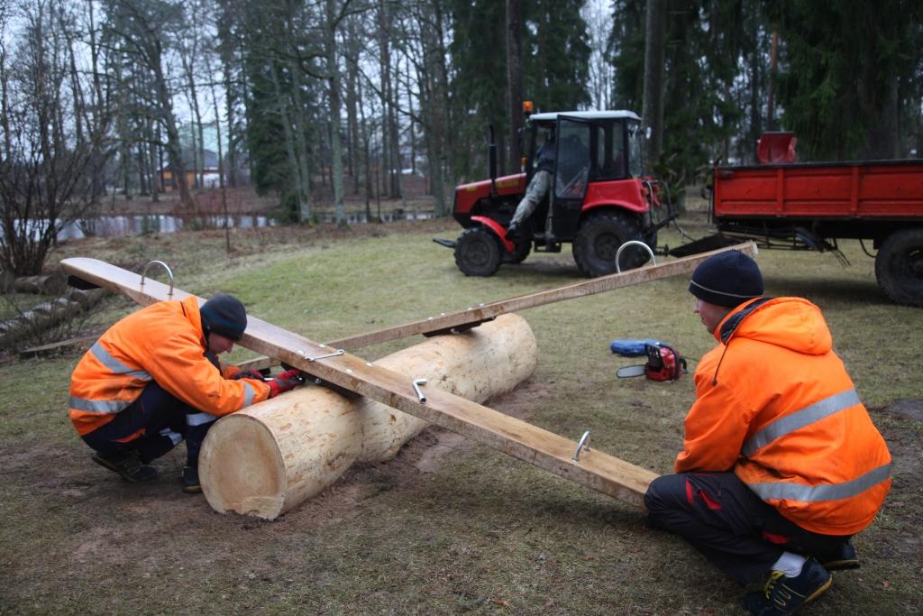Šūpoļu kāršana un šūpošanās ir viena no galvenajām tradīcijām Lieldienās. Par jaunām šūpolēm Spārītes parkā ir parūpējusies pilsētas Labiekārtošanas iestāde. Ticējumi vēsta, ka Lieldienās vajag daudz šūpoties, jo tad visu gadu nenāks miegs, kā arī kārtīga izšūpošanās nodrošina, ka vasarā dunduri, odi un čūskas nekodīs, būs brangas aitas un gari lini. 	
Autors: Gatis Bogdanovs