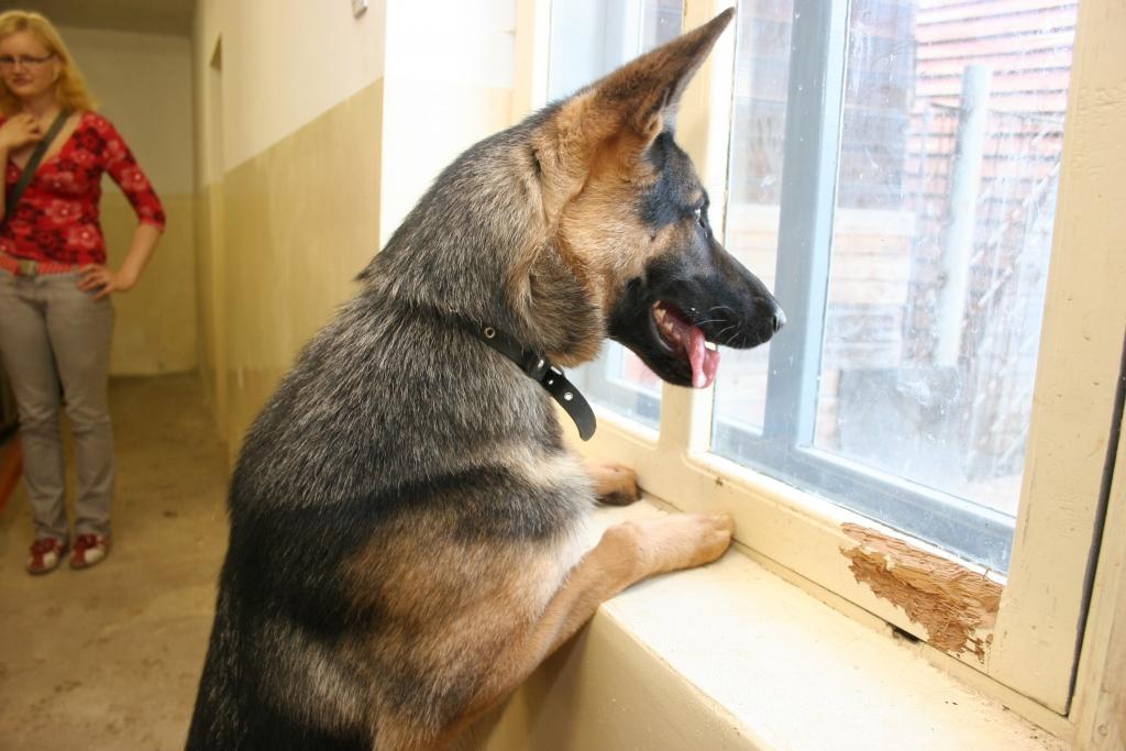 Autors: Ilustratīvs foto