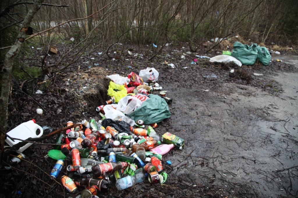 Tā izskatās netālu no Tirzas tilta Gulbenes-Smiltenes šosejas malā.
Autors: Gatis Bogdanovs 