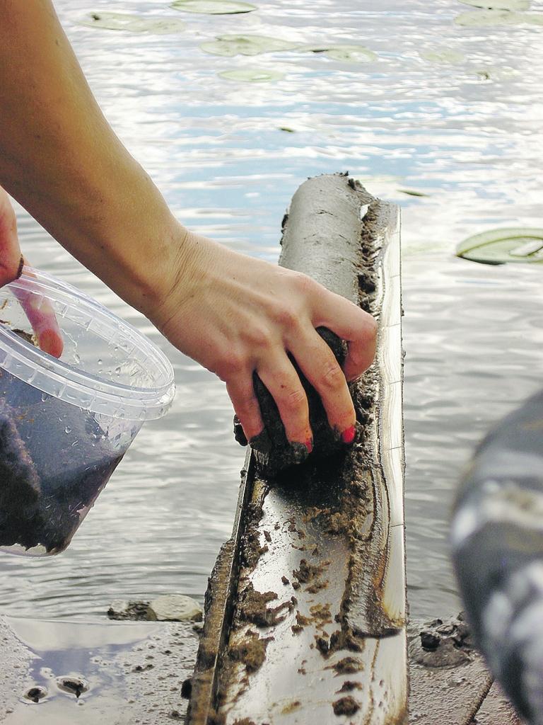 Latvijas Universitātes Ģeogrāfijas un Zemes zinātņu fakultātes doktorante, ezeru pētniece Karina Stankeviča apgūst pieredzi, kā izmērīt un noteikt sapropeļa kvalitāti. 
Autors: NO K. STANKEVIČAS PRIVĀTĀ ARHĪVA