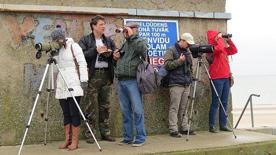 Putnu vērošana Ventspilī.
Autors: no LOB mājaslapas