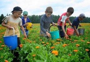 Autors: Ilustratīvs darbs