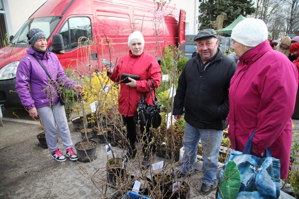 Cilvēki šoreiz tirdziņā īpaši pirka augļu kociņus, ogulājus, dažādus košumkrūmus, puķu sīpolus un stādus.
Autors: Gatis Bogdanovs