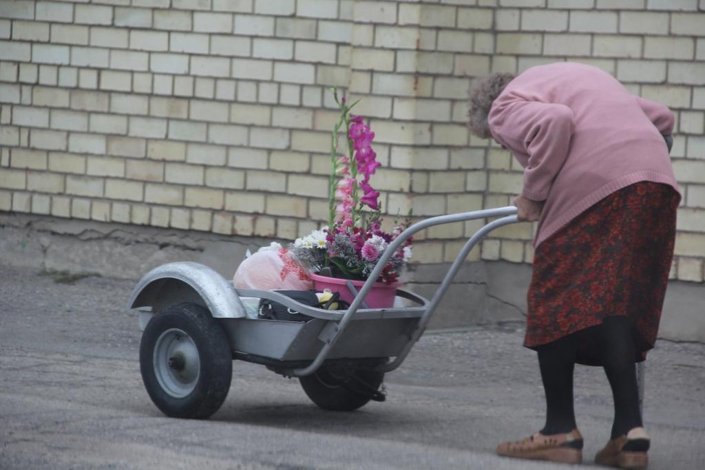 Autors: Ilustratīvs foto