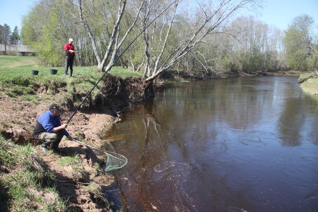 Pašvaldībām vajag likt spēkus kopā, lai atjaunotu Gaujas potenciālu.  Arī Gulbenes novada dome ir saņēmusi uzaicinājumu iestāties “Gaujas Ilgtspējīgās attīstības biedrībā”.	
Autors: no “Dzirksteles” arhīva
