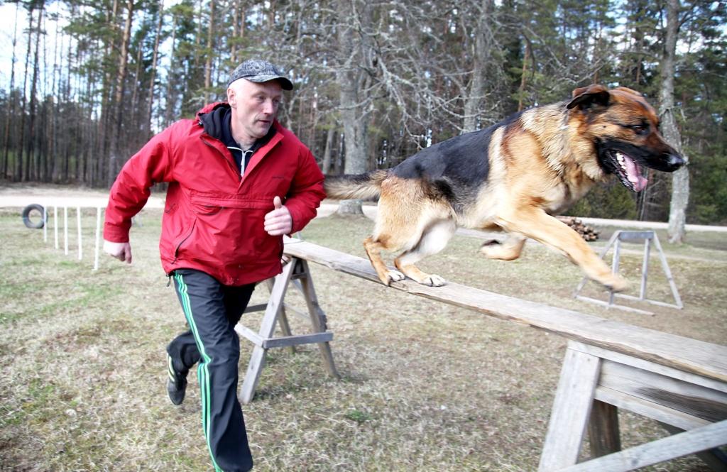 “Sports kopā ar suni - tās ir pozitīvas emocijas, aktīva atpūta un laba kontakta veidošana ar savu mīluli,” tā teikts Alūksnes kinoloģiskās biedrības “Remis” mājas lapā internetā. To var apliecināt arī velēnietis Jānis Kamarūts, kurš ar savu suni Ergo ir šīs biedrības biedri un startē gan šīs biedrības, gan arī dažādās citās suņu nacionālās daudzcīņas sacensībās. Gan Ergo, gan Jānim ļoti patīk startēt sacensībās, tā jau ir kļuvusi par viņu aizraušanos. Sacensībās ir izcīnīts arī pietiekami daudz medaļu un kausu, bet pie savām mājām viņi ir izveidojuši paši savu treniņlaukumu. 
Autors: Gatis Bogdanovs