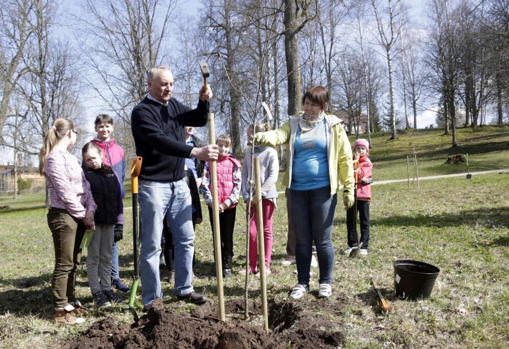 Aluksniesiem.lv raksta attēla aizvietotājs