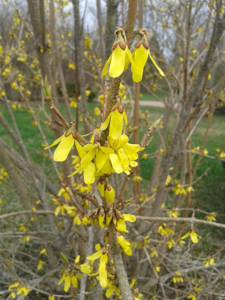 Autors: Ginta Alberte