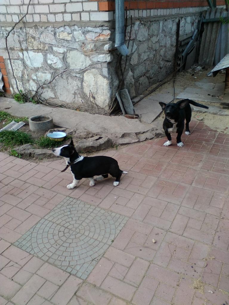 Autors: no personiskā arhīva