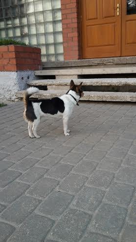 Autors: Eva Kozlovska