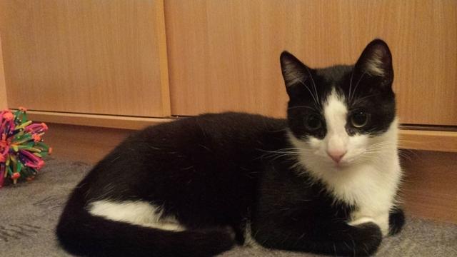 Autors: no personiskā arhīva