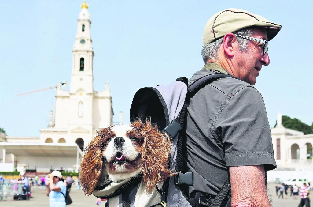 Portugālē ārvalstu tūristu uzņemšanu uzskata par veidu, kā mazināt globālās finanšu krīzes negatīvo ietekmi uz valsts tautsaimniecību un nodrošināt ienākumus arī mazajam un vidējam biznesam, kam joprojām ir liela nozīme valsts ekonomiskajā dzīvē. Populārs ceļotāju galamērķis ir apdzīvotā vieta Fatima (attēlā), kas atrodas Portugāles centrālajā daļā. Fatima katoliskajā pasaulē pazīstama kā svētceļojumu mērķis, bet ārpus reliģiozajām aprindām uzmanību izpelnījusies ar daudzveidīgu arhitektūru. 
Autors:  EPA/LETA