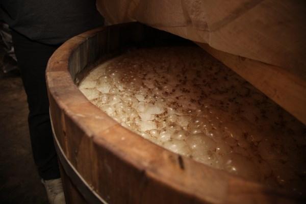 Autors: Gatis Bogdanovs