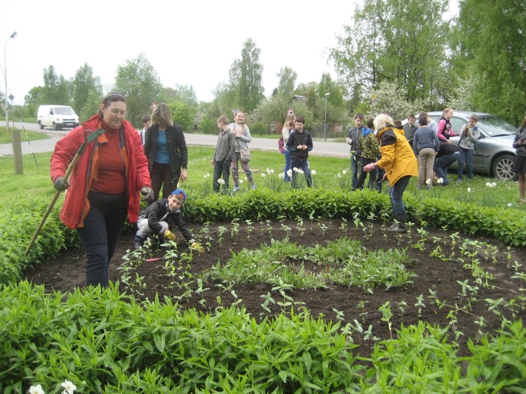 “Zaļie pirkstiņi” ir klases audzinātājai Dairai Ģērmanei, kura mājās izaudzējusi 125 cīniju dēstus, lai kopā ar saviem skolēniem un Labiekārtošanas iestādes darbiniecēm šīs puķes iestādītu Gulbenes “Makša trīsstūrī”. 	
Autors: Diāna Odumiņa