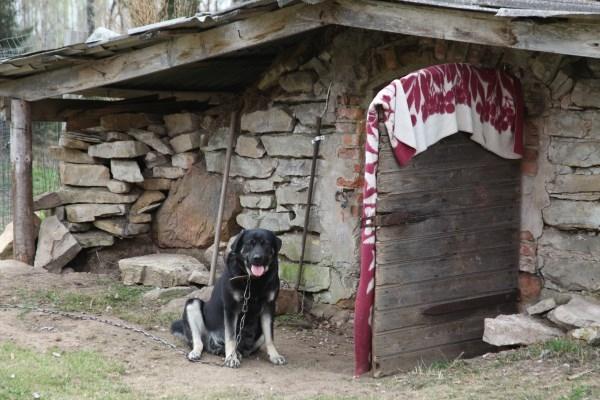 Autors: ilustratīvs