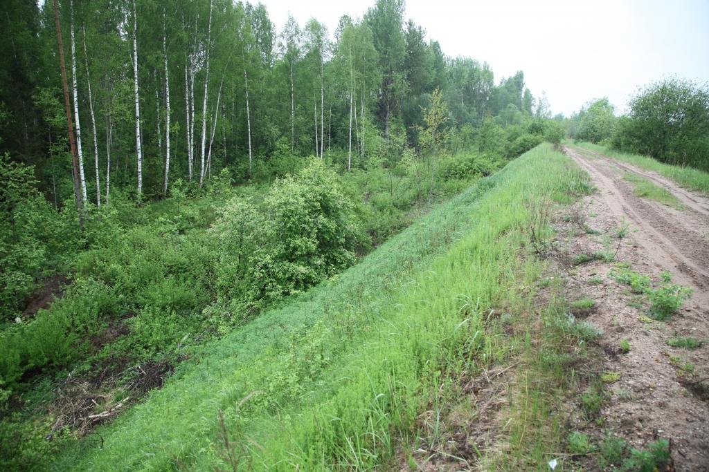 “Latvijas dzelzceļam” šodien nevajag, bet pašvaldībām par brīvu arī neatdod. Tāda ir situācija ar Gulbenes-Ieriķu dzelzceļa uzbērumu, kas izskatās mežonīgs un pamazām apaug ar atkritumiem un koku kritalām. 
Autors: Gatis Bogdanovs