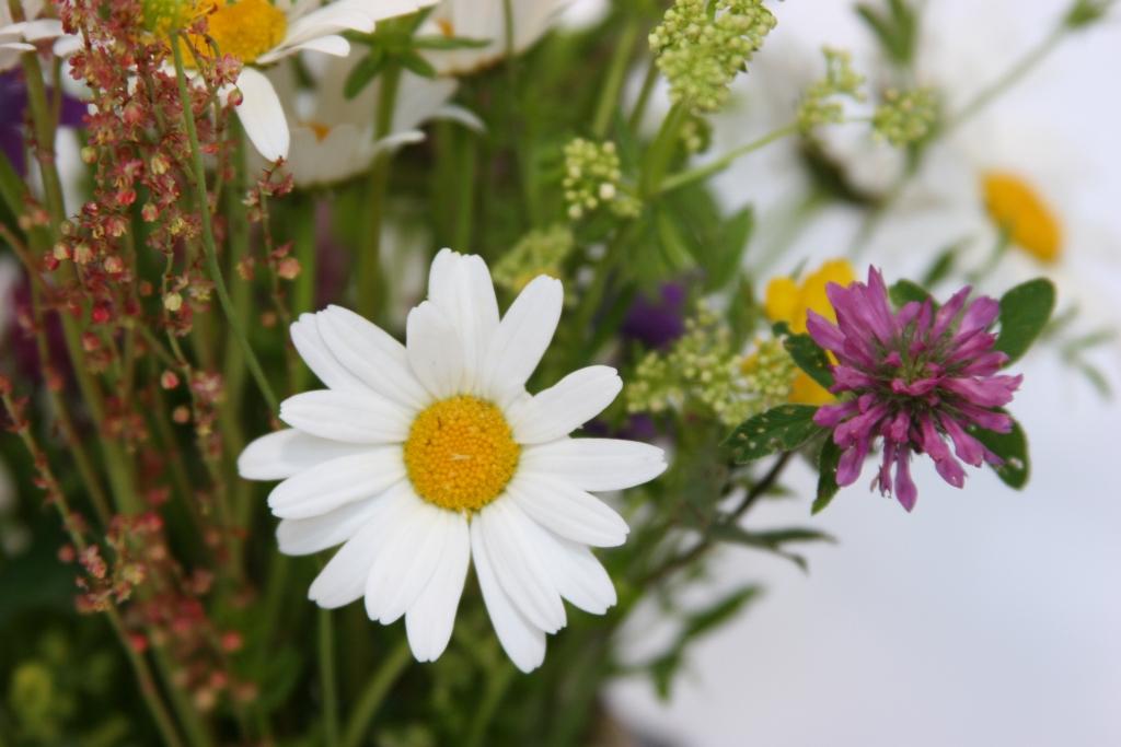 Autors: Gatis Bogdanovs