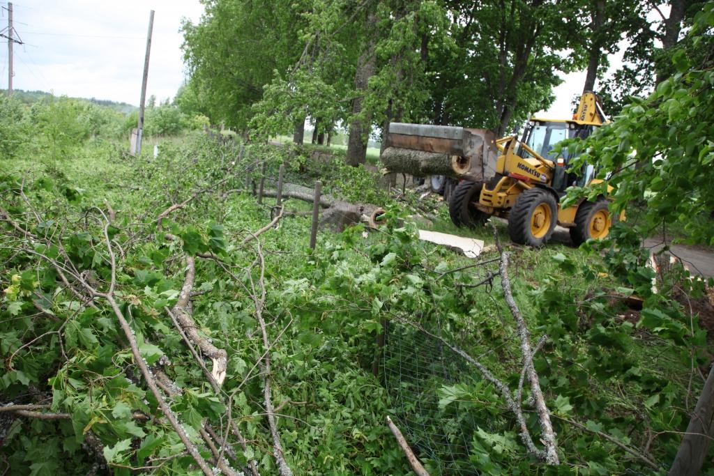 Trešdien gan pagasta pārvaldes, gan arī ceļu uzturētāju strādnieki mēģināja novākt lauztos un izgāztos kokus un sakopt postījumu vietas. 
Autors: Gatis Bogdanovs