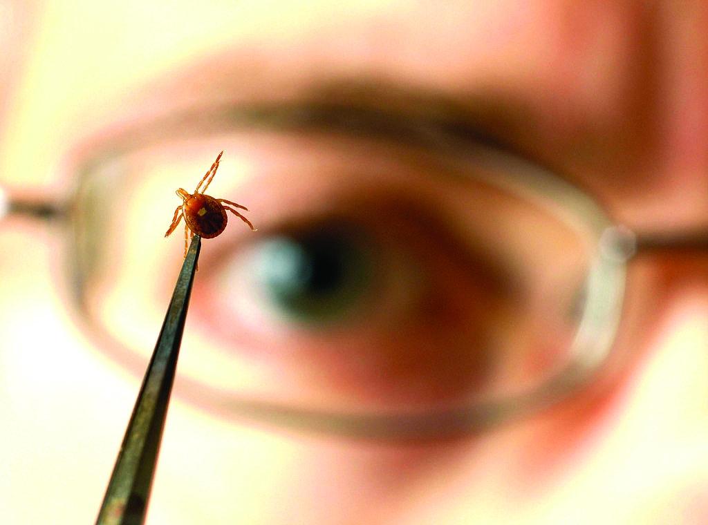 Autors: collective-evolution.com