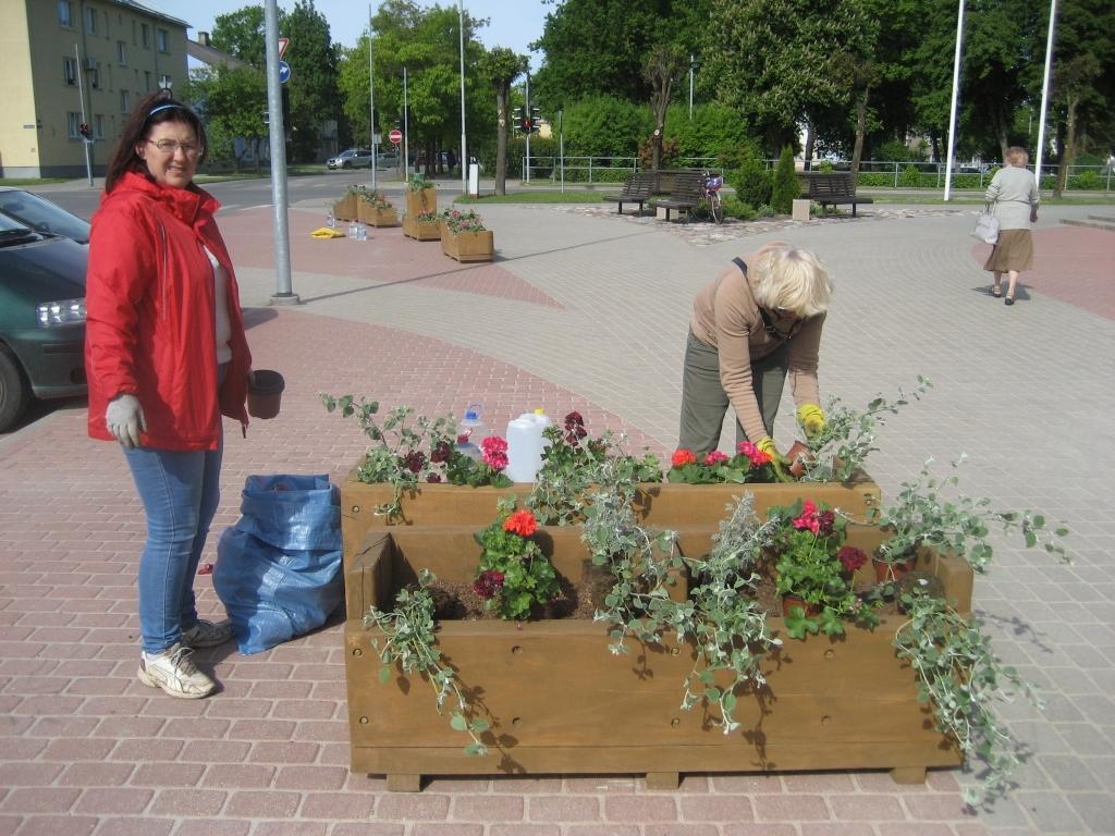 Kur paliek koki, kurus nozāģē Gulbenes Labiekārtošanas iestāde? Lūk, atbilde! No nozāģētajiem ozoliem pagatavotas sešas dekoratīvas kastes un kopā ar ziedošām puķēm tagad grezno pilsētas centru. 
Autors: Diāna Odumiņa