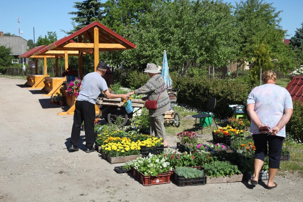 Neizdevies eksperiments. Tā iedzīvotāji saka par pašvaldības ierādīto tirdzniecības vietu Gulbenē, Bērzu ielā. 
Autors: Gatis Bogdanovs