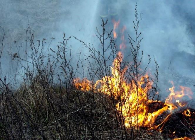 Autors: ilustratīvs