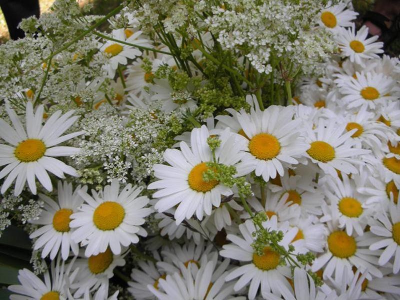 Autors: ilustratīvs