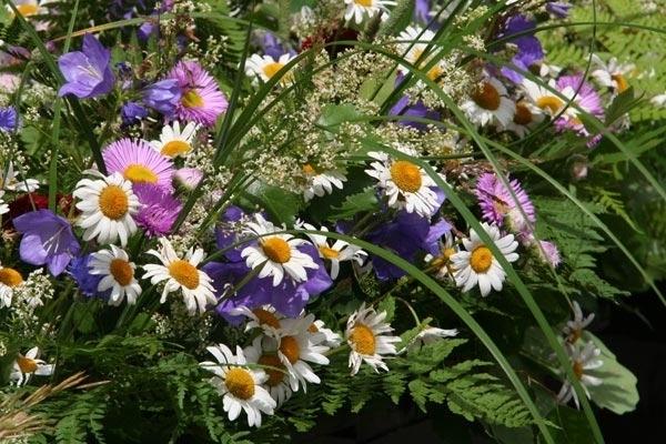 Autors: ilustratīvs