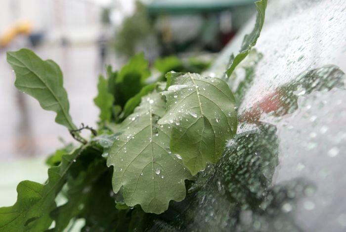 Autors: ilustratīvs