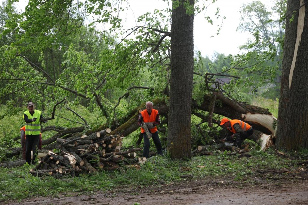 Autors: Gatis Bogdanovs (no arhīva)