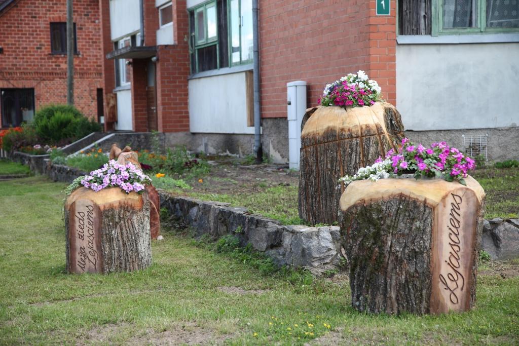 Autors: Evita Brokāne