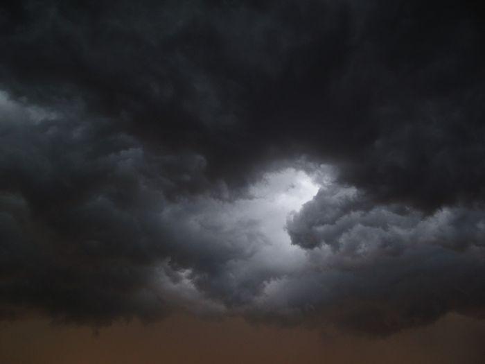 Autors: flora.cyclam