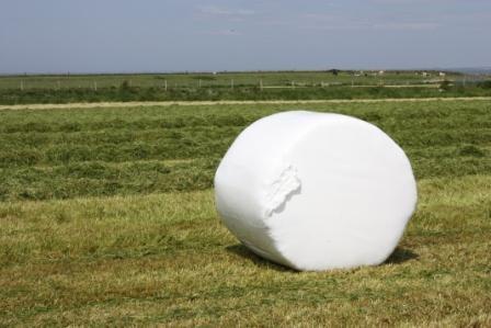 Autors: www.visqueenpolycrop.com