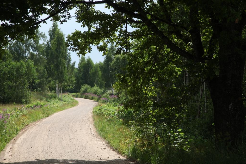 Atlika trešdien pasūdzēties “Dzirkstelei” par autoceļa kvalitāti, un tas tika zibenīgi noplanēts. Tā nākas secināt, jo ceturtdien ceļš jau bija ideāls. “Dzirkstele” par to pārliecinājās. 	
Autors: Gatis Bogdanovs