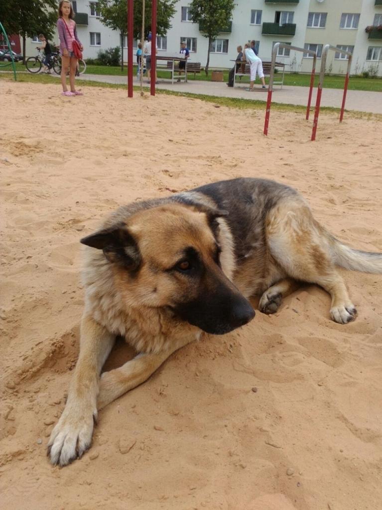 Gulbenē, Nākotnes ielas bērnu laukumā, pie veikala 