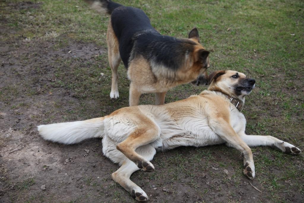 Autors: ilustratīvs