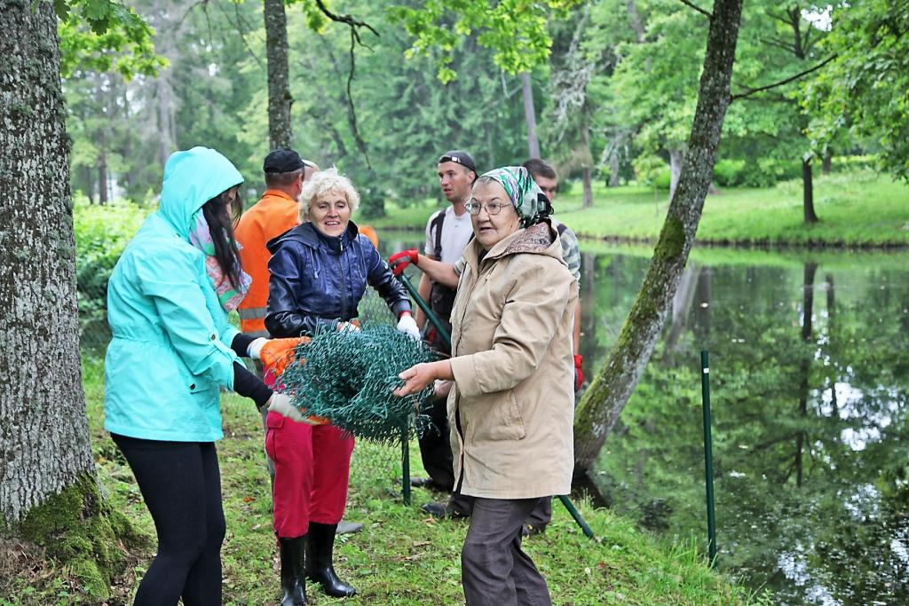 Gulbenieši grib palīdzēt gulbjiem izveidot drošu mājvietu. Tas pierādījās 31.jūlijā notikušajā talkā.  			                    								   
Autors: Gatis Bogdanovs