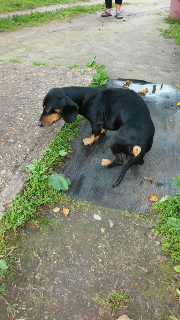 Autors: no personiskā arhīva