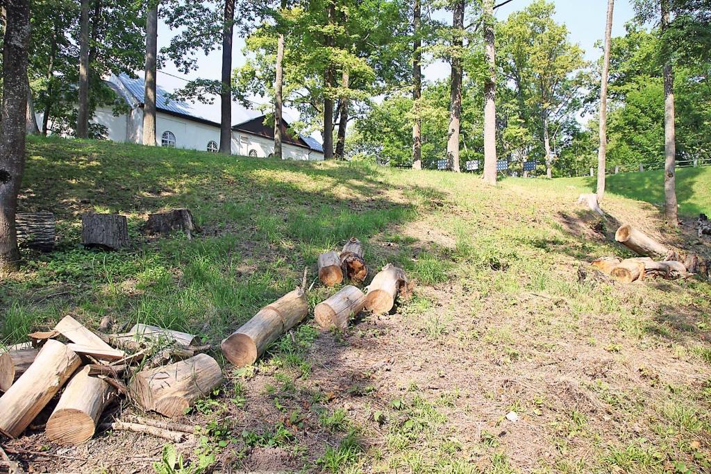 Gulbenes luterāņu baznīcas apkārtne kļūst arvien sakoptāka. To nevar nepamanīt.   
Autors:  Gatis Bogdanovs
