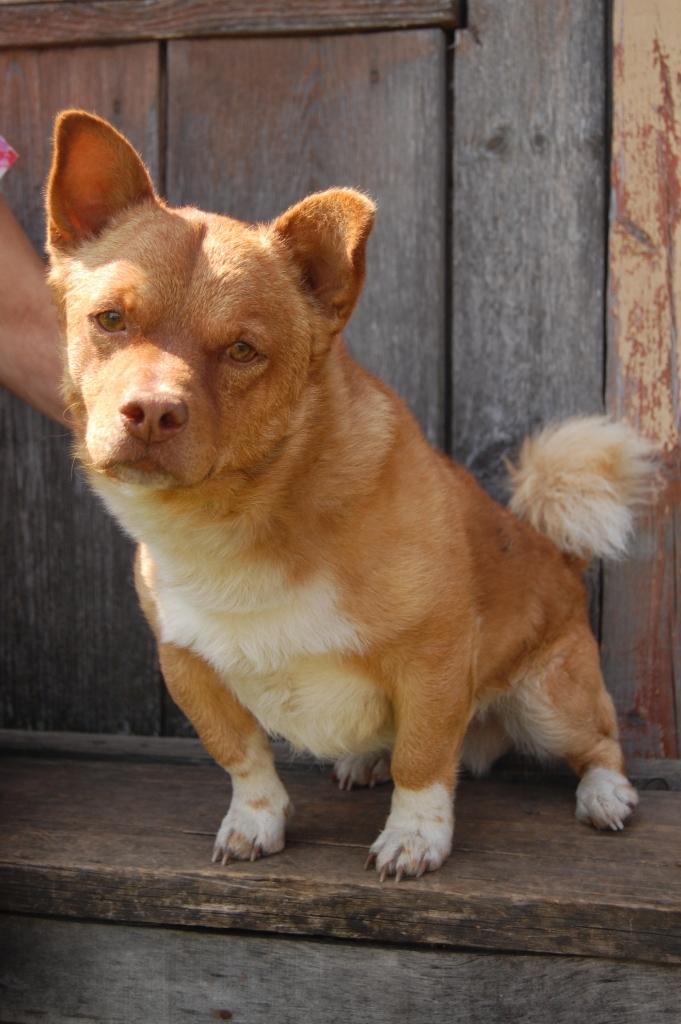 Autors: no personiskā arhīva