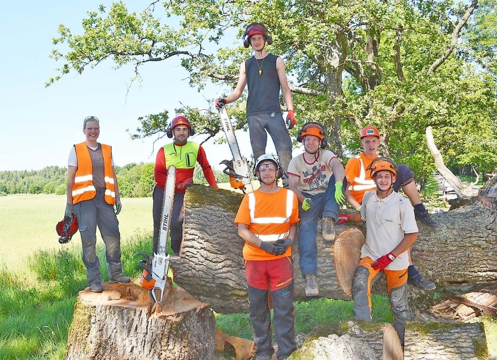 Ļoti ātri un precīzi kopēju brigāde tika galā ar nokaltuša ozola nozāģēšanu un ceļa sakopšanu. 		
Autors: no Lizuma pagasta arhīva