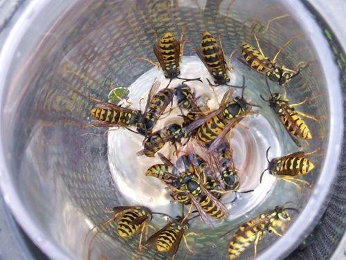 Autors: ilustratīvs