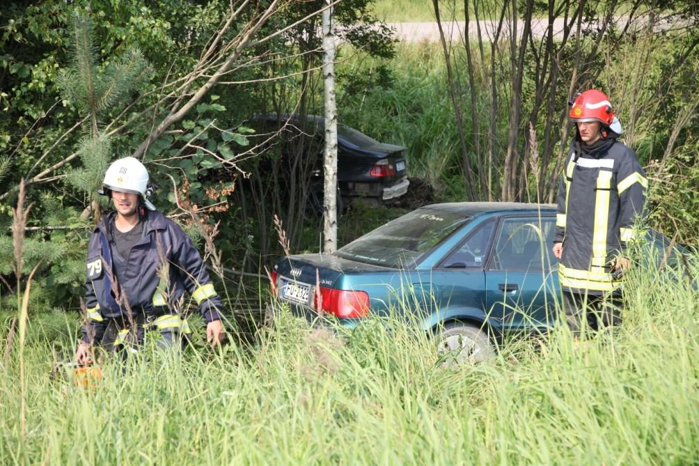 Autors: Gatis Bogdanovs