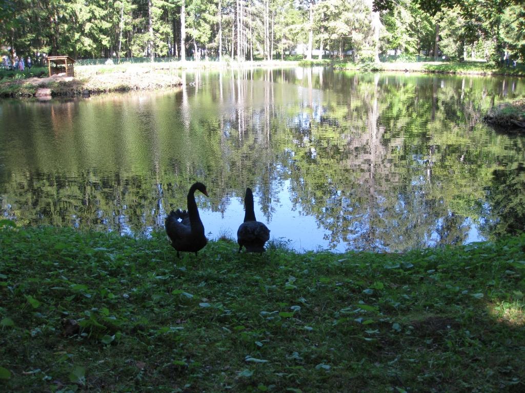 Autors: Pārsla Konrāde