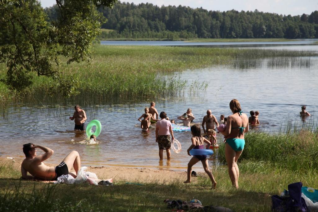 Autors: no “Dzirksteles” arhīva