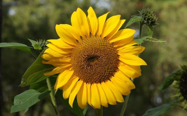 Autors: www.spoki.tvnet.lv