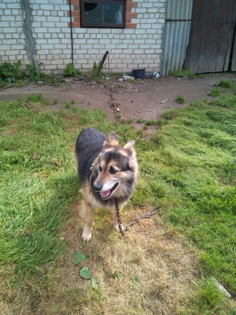 Autors: no personiskā arhīva