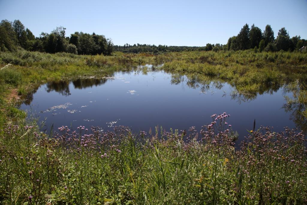 Par kādreizējo iedzīvotāju iecienīto atpūtas vietu Plēķu dīķi šodien atgādina tikai atpūtnieku atmiņas. Tā vietā, īpašniekiem nespējot savstarpēji vienoties par turpmāko rīcību, aug koki, krūmi un saimnieko bebri. 	
Autors: Gatis Bogdanovs
